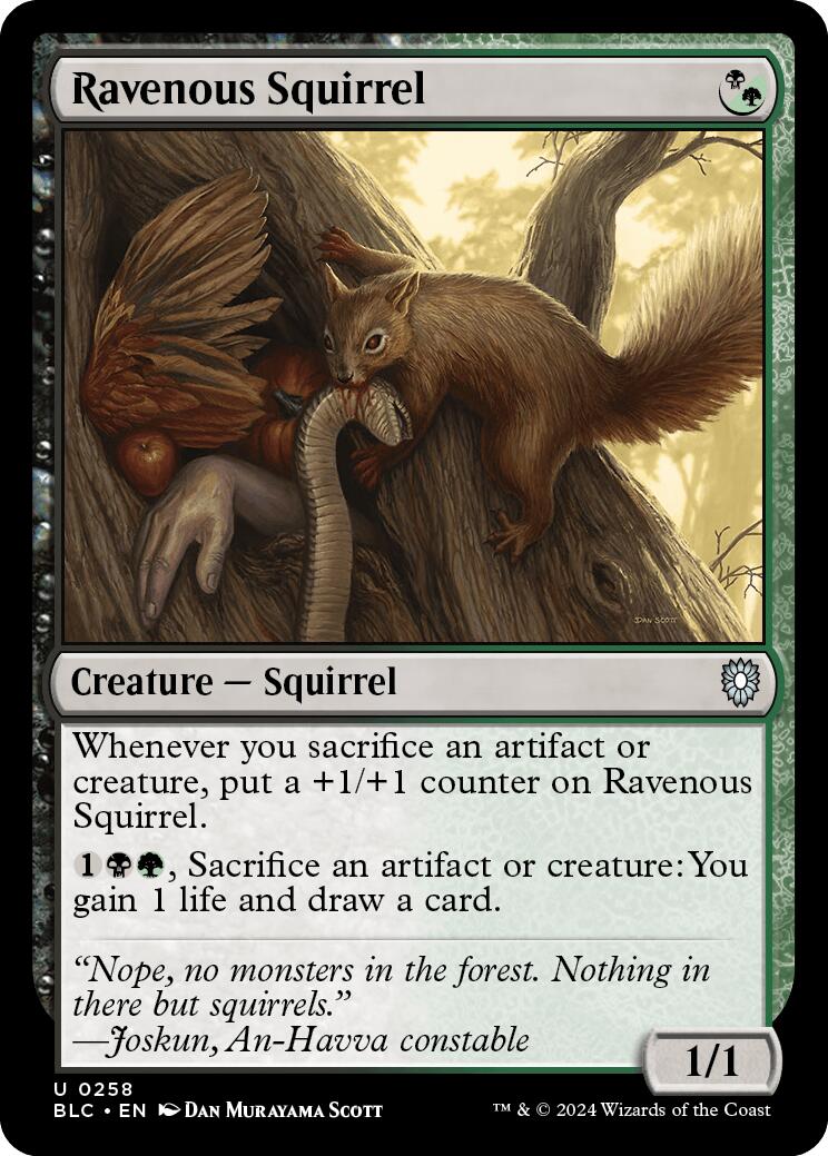 Ravenous Squirrel [Bloomburrow Commander] | Clutch Gaming