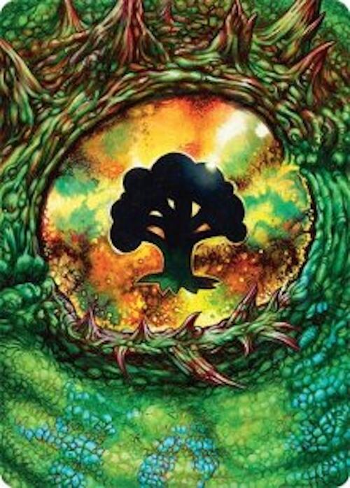 Forest Art Card (32/54) [Tarkir: Dragonstorm Art Series] | Clutch Gaming