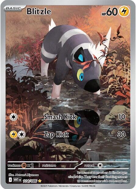 Blitzle (114/086) [Scarlet & Violet: White Flare] | Clutch Gaming