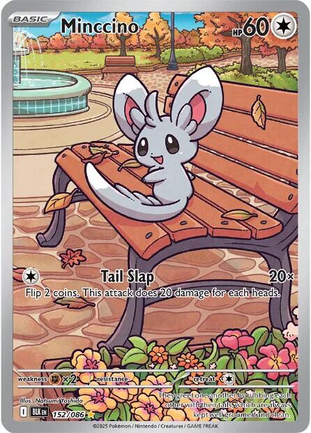 Minccino (152/086) [Scarlet & Violet: Black Bolt] | Clutch Gaming