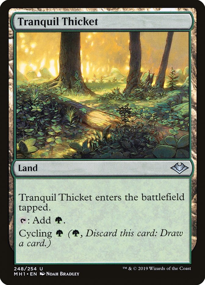 Tranquil Thicket [Modern Horizons] | Clutch Gaming