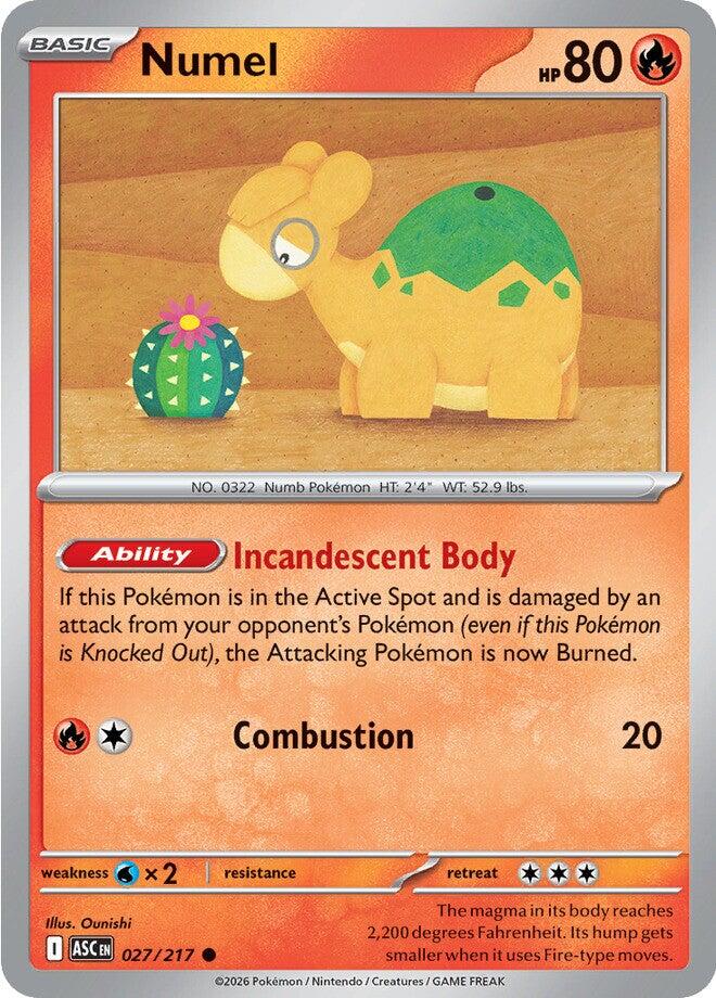 Numel (027/217) [Mega Evolution: Ascended Heroes] | Clutch Gaming