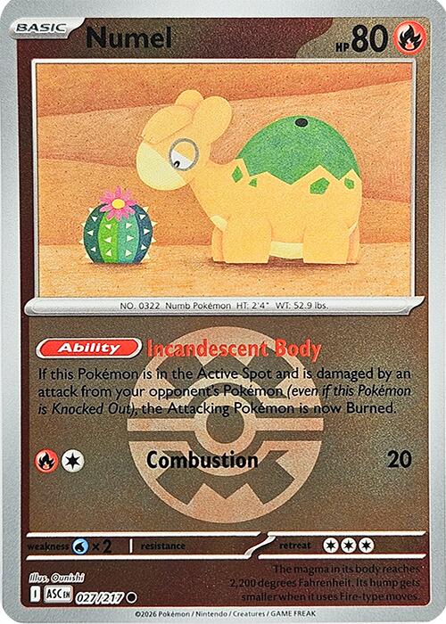 Numel (027/217) (Quick Ball) [Mega Evolution: Ascended Heroes] | Clutch Gaming