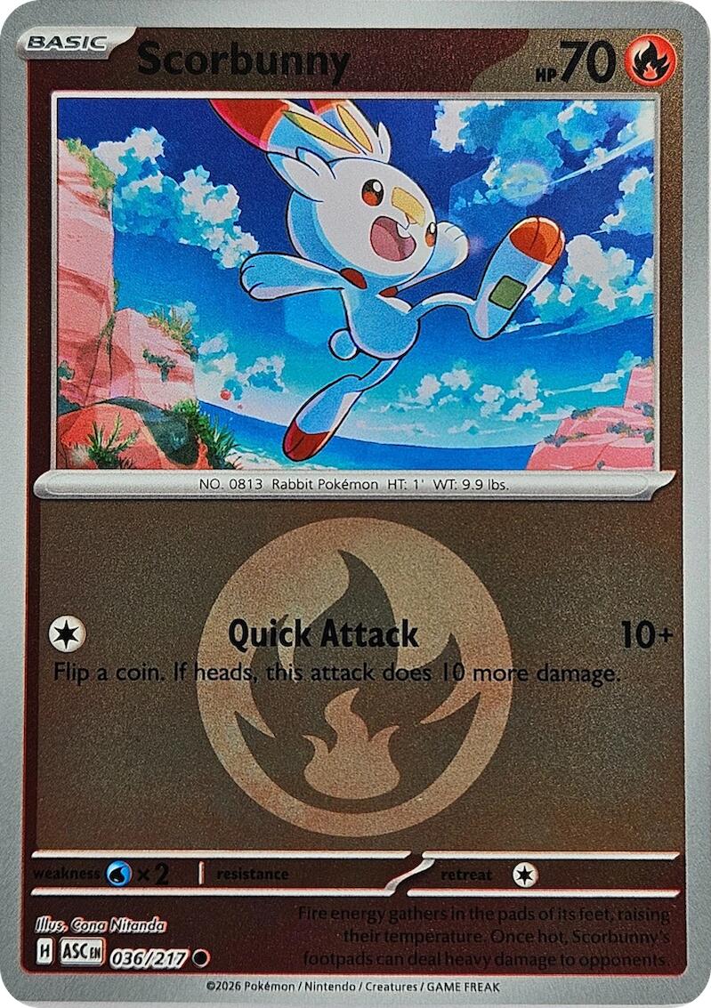 Scorbunny (036/217) (Energy Symbol Pattern) [Mega Evolution: Ascended Heroes] | Clutch Gaming