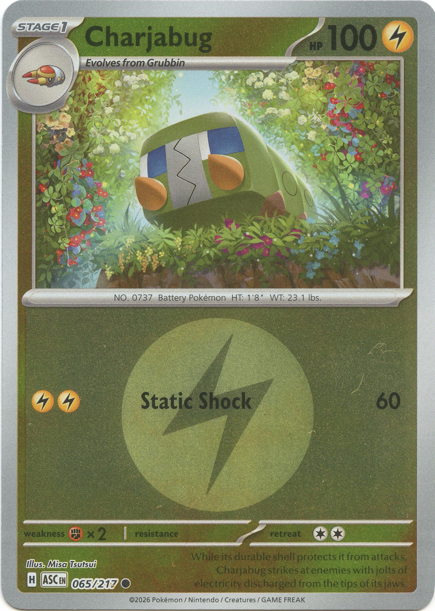 Charjabug (065/217) (Energy Symbol Pattern) [Mega Evolution: Ascended Heroes] | Clutch Gaming