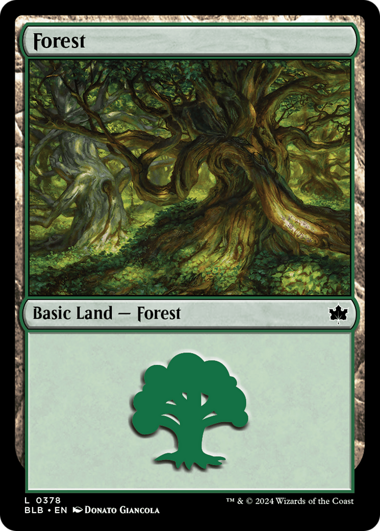 Forest (0378) [Bloomburrow] | Clutch Gaming