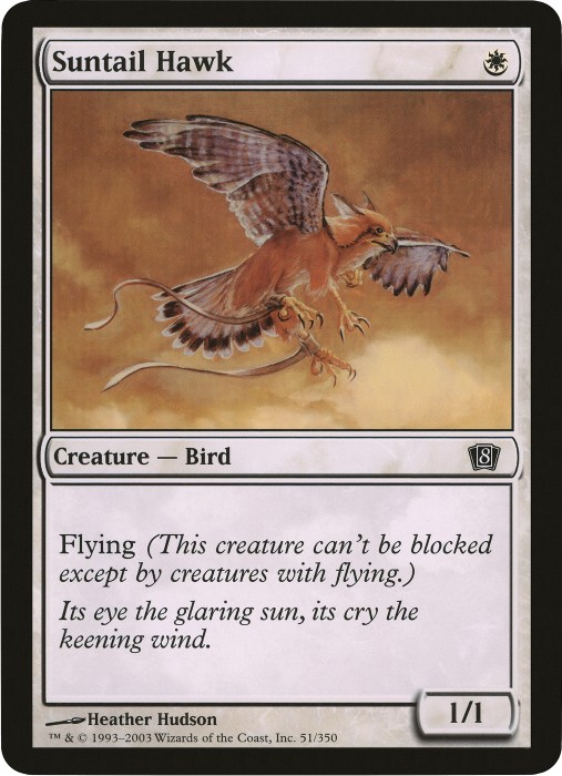 Suntail Hawk (Oversized) [Eighth Edition Box Topper] | Clutch Gaming