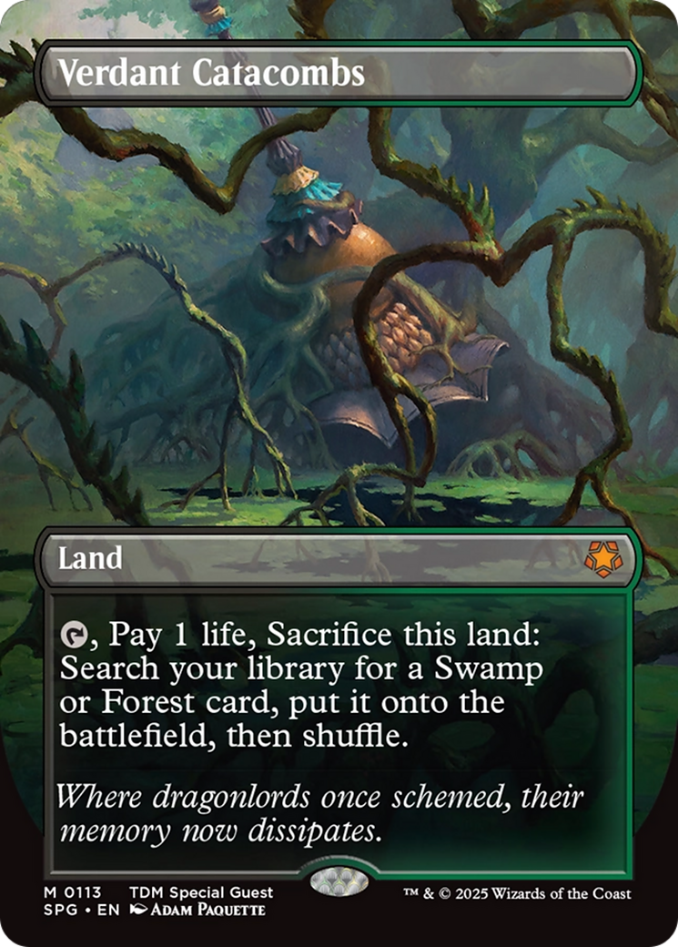 Verdant Catacombs (Borderless) [Tarkir: Dragonstorm Special Guests] | Clutch Gaming