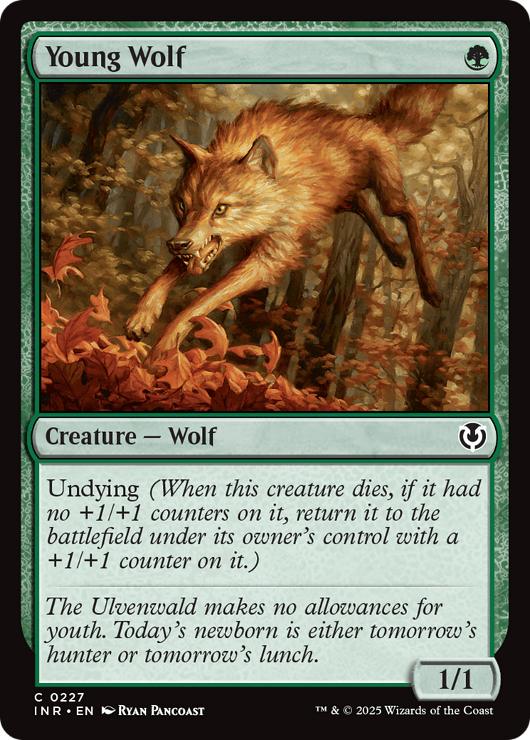 Young Wolf [Innistrad Remastered] | Clutch Gaming