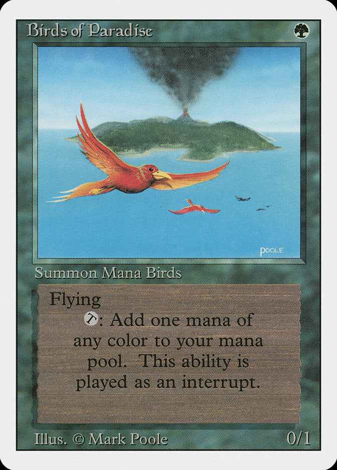 Birds of Paradise [Revised Edition] | Clutch Gaming