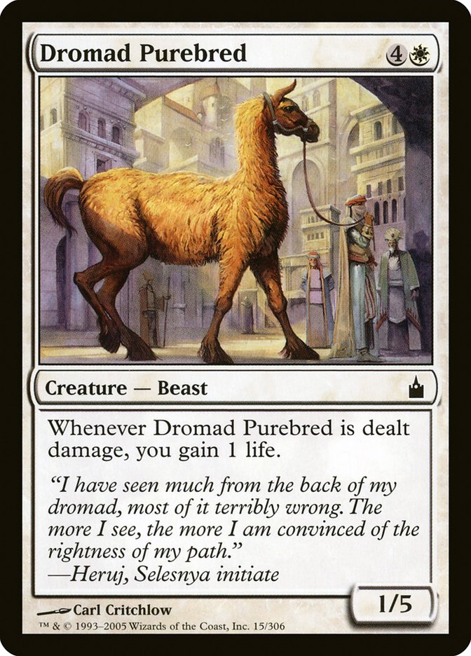 Dromad Purebred [Ravnica: City of Guilds] | Clutch Gaming