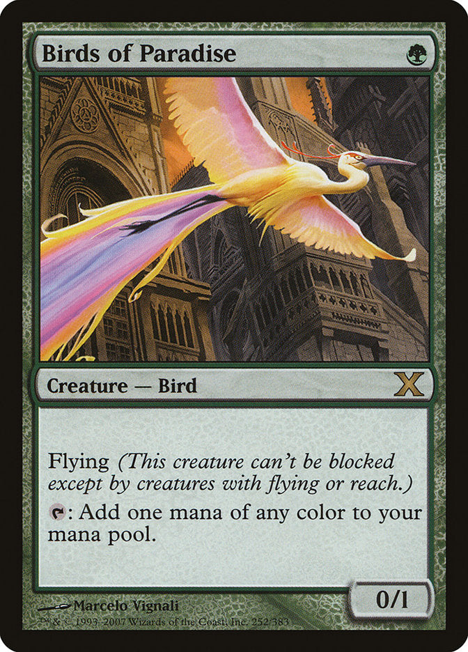 Birds of Paradise [Tenth Edition] | Clutch Gaming