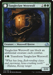 Tangleclaw Werewolf // Fibrous Entangler [Eldritch Moon] | Clutch Gaming