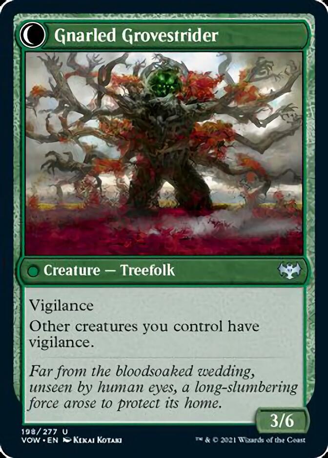 Dormant Grove // Gnarled Grovestrider [Innistrad: Crimson Vow] | Clutch Gaming