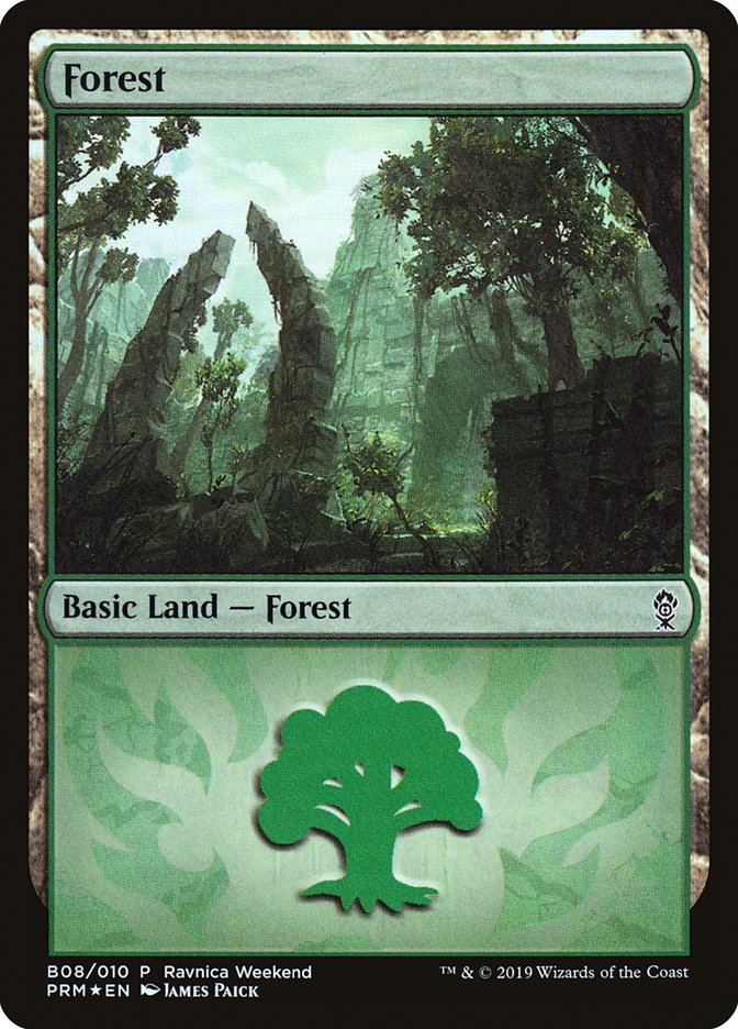 Forest (B08) [Ravnica Allegiance Guild Kit] | Clutch Gaming