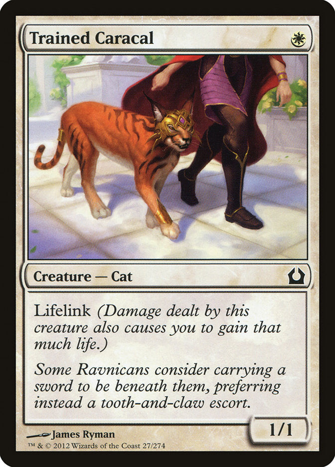 Trained Caracal [Return to Ravnica] | Clutch Gaming