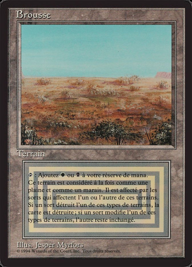 Scrubland [Foreign Black Border] | Clutch Gaming