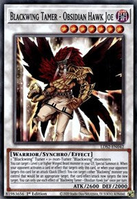 Blackwing Tamer - Obsidian Hawk Joe [LDS2-EN042] Common | Clutch Gaming