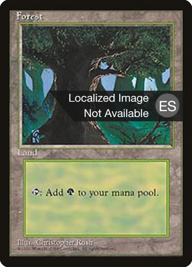 Forest (C) [Fourth Edition (Foreign Black Border)] | Clutch Gaming