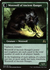 Sage of Ancient Lore // Werewolf of Ancient Hunger [Shadows over Innistrad Prerelease Promos] | Clutch Gaming