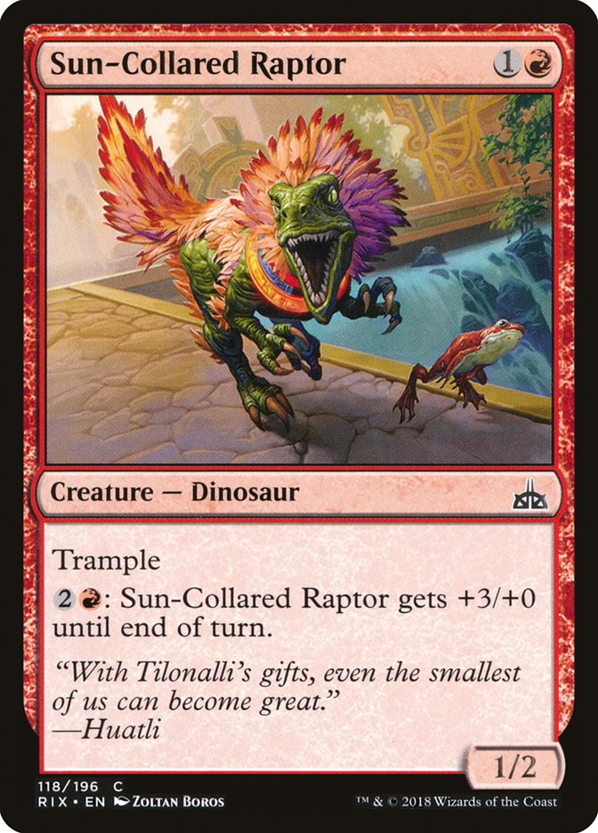 Sun-Collared Raptor [Rivals of Ixalan] | Clutch Gaming