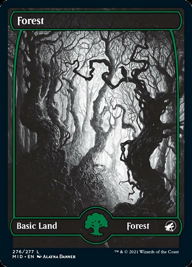 Forest (276) [Innistrad: Midnight Hunt] | Clutch Gaming