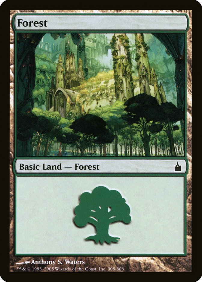 Forest (305) [Ravnica: City of Guilds] | Clutch Gaming