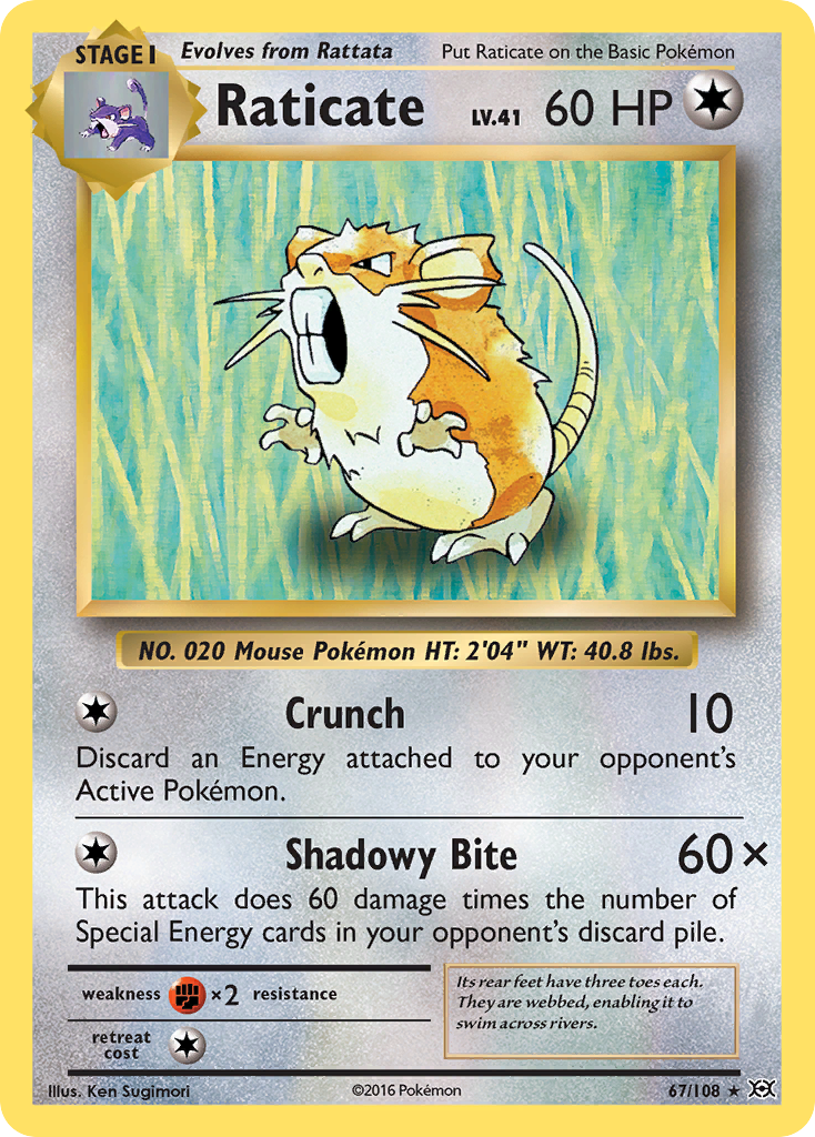 Raticate (67/108) [XY: Evolutions] | Clutch Gaming