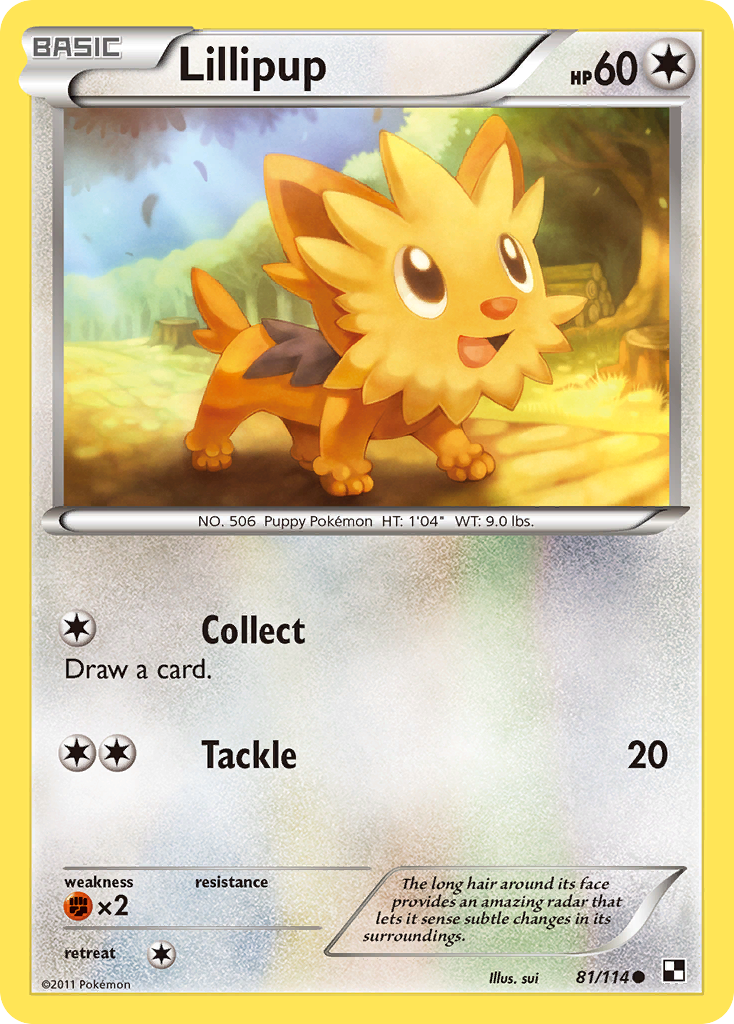 Lillipup (81/114) [Black & White: Base Set] | Clutch Gaming