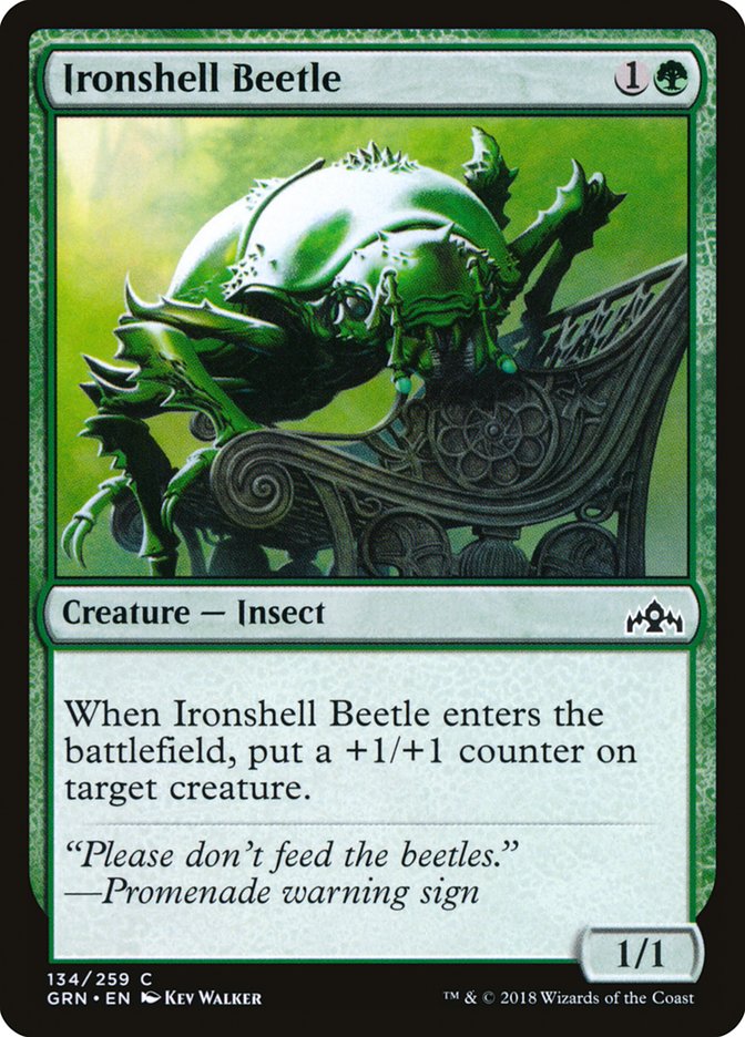 Ironshell Beetle [Guilds of Ravnica] | Clutch Gaming