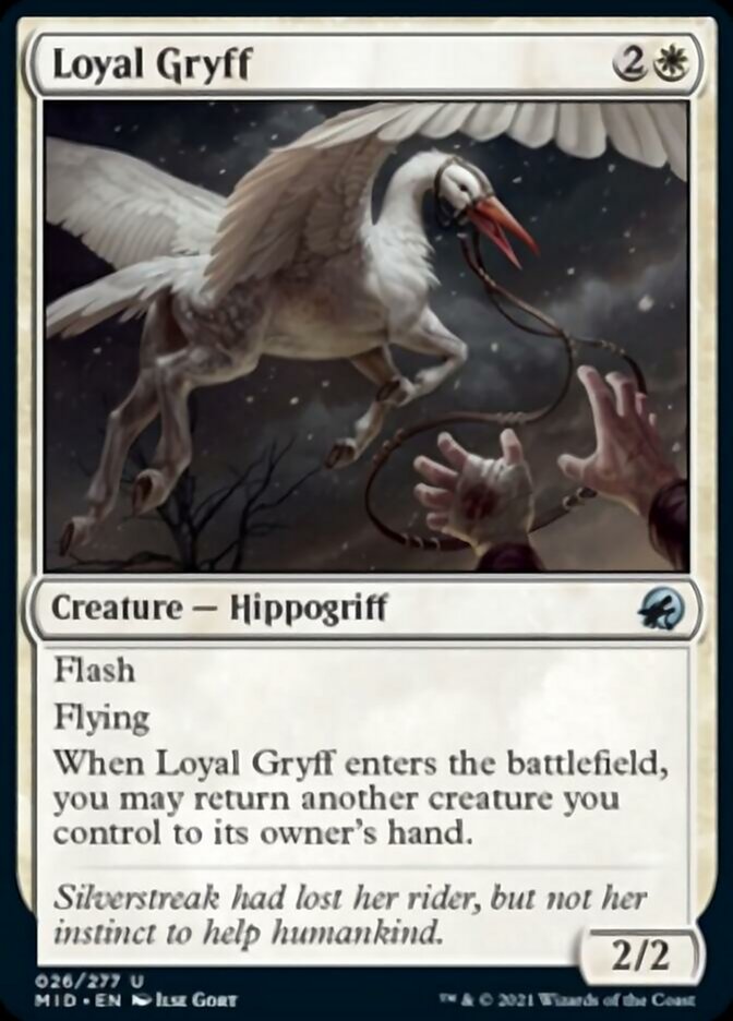 Loyal Gryff [Innistrad: Midnight Hunt] | Clutch Gaming