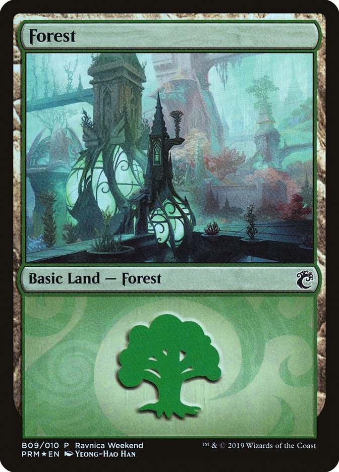 Forest (B09) [Ravnica Allegiance Guild Kit] | Clutch Gaming