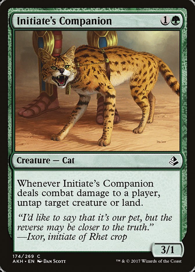 Initiate's Companion [Amonkhet] | Clutch Gaming