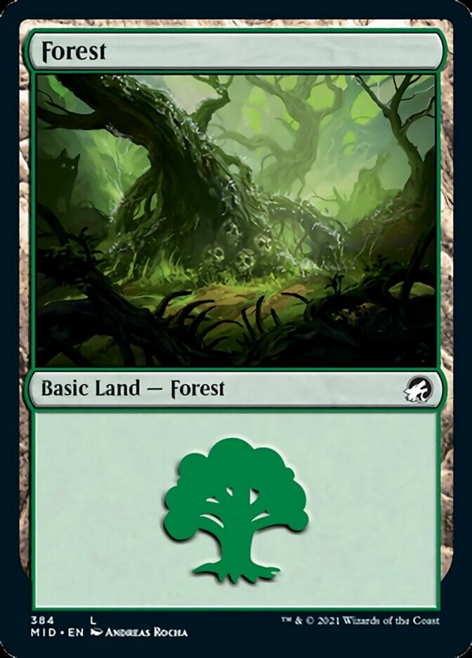 Forest (384) [Innistrad: Midnight Hunt] | Clutch Gaming