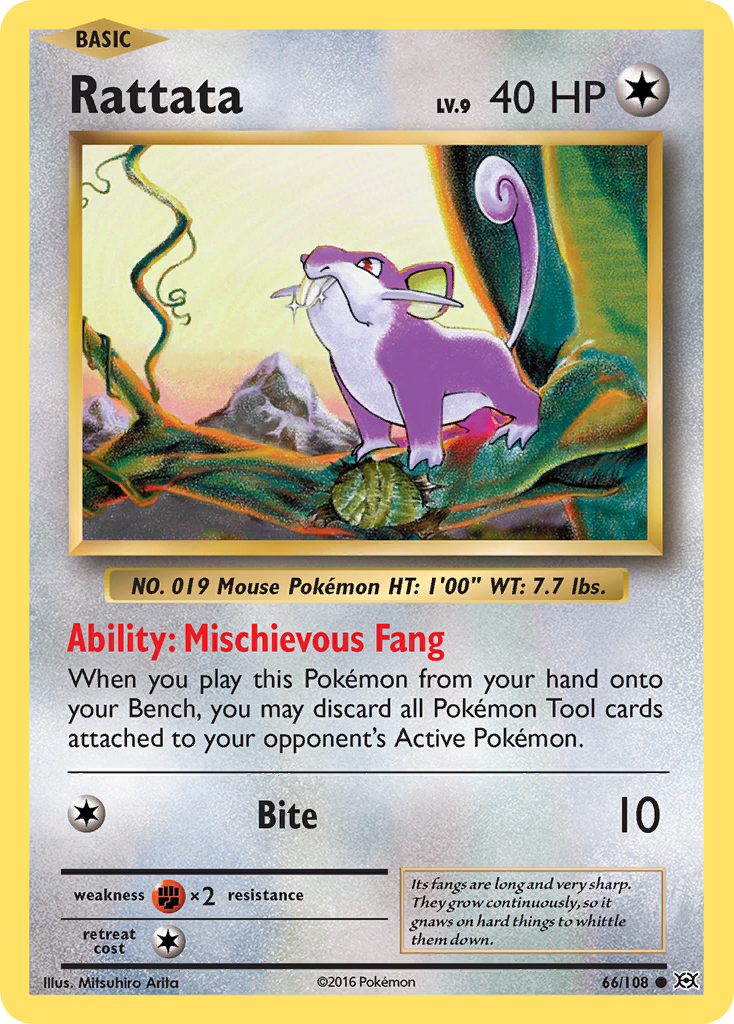 Rattata (66/108) [XY: Evolutions] | Clutch Gaming