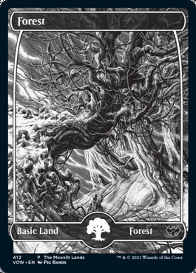 Forest (The Moonlit Lands) (Foil Etched) [Innistrad: Crimson Vow Promos] | Clutch Gaming