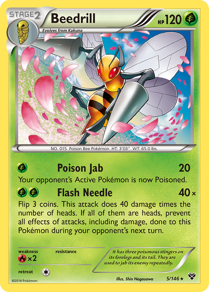 Beedrill (5/146) [XY: Base Set] | Clutch Gaming