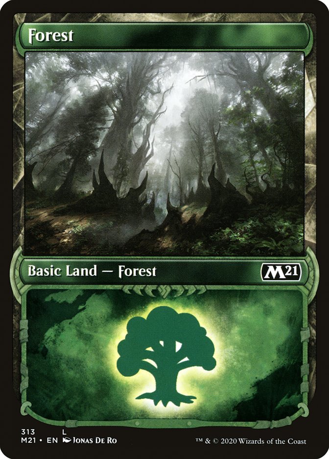 Forest (313) (Showcase) [Core Set 2021] | Clutch Gaming