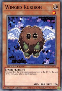 Winged Kuriboh [SGX1-ENA06] Common | Clutch Gaming