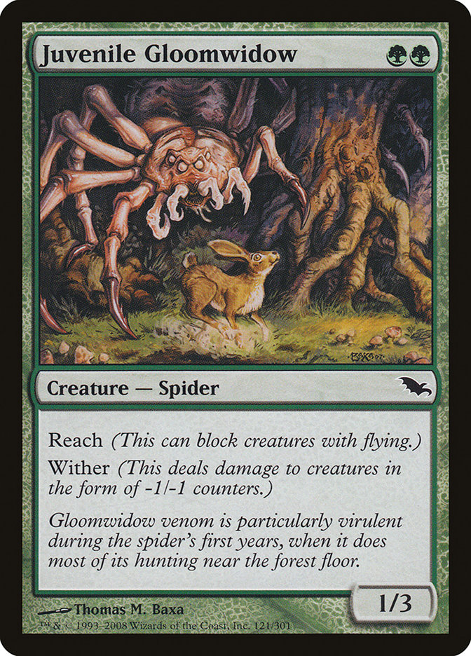 Juvenile Gloomwidow [Shadowmoor] | Clutch Gaming