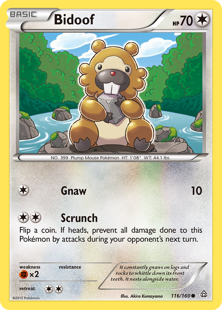 Bidoof (116/160) [XY: Primal Clash] | Clutch Gaming