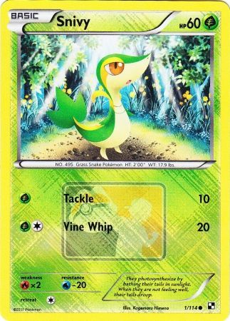 Snivy (1/114) (League Promo) [Black & White: Base Set] | Clutch Gaming