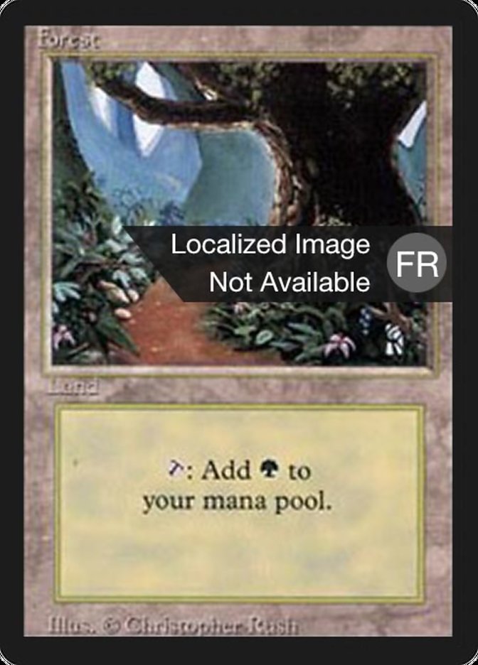 Forest (B) [Foreign Black Border] | Clutch Gaming